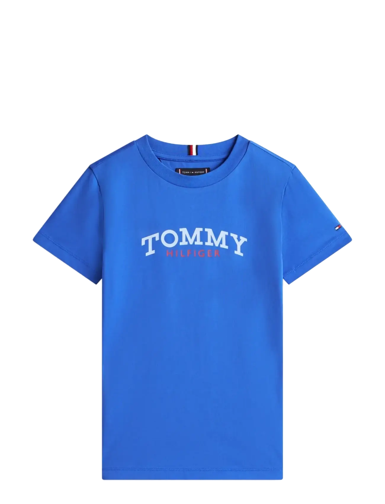 Tommy Hilfiger MONOGRAM GRAPHIC T-SHIRT - Överdelar - EMPIRE BLUE / blue