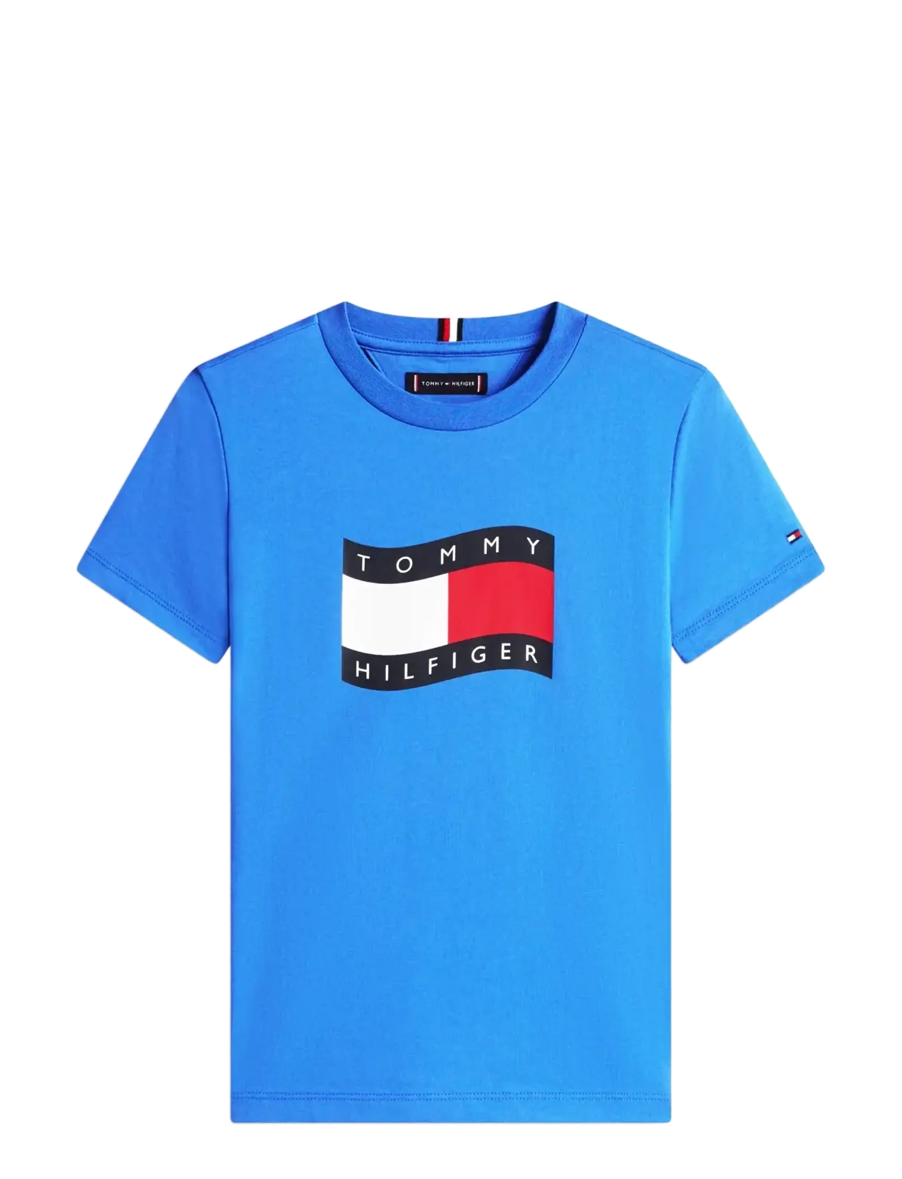 Tommy Hilfiger WAVY FLAG T-SHIRT - Tommy Hilfiger - EMPIRE BLUE / blue