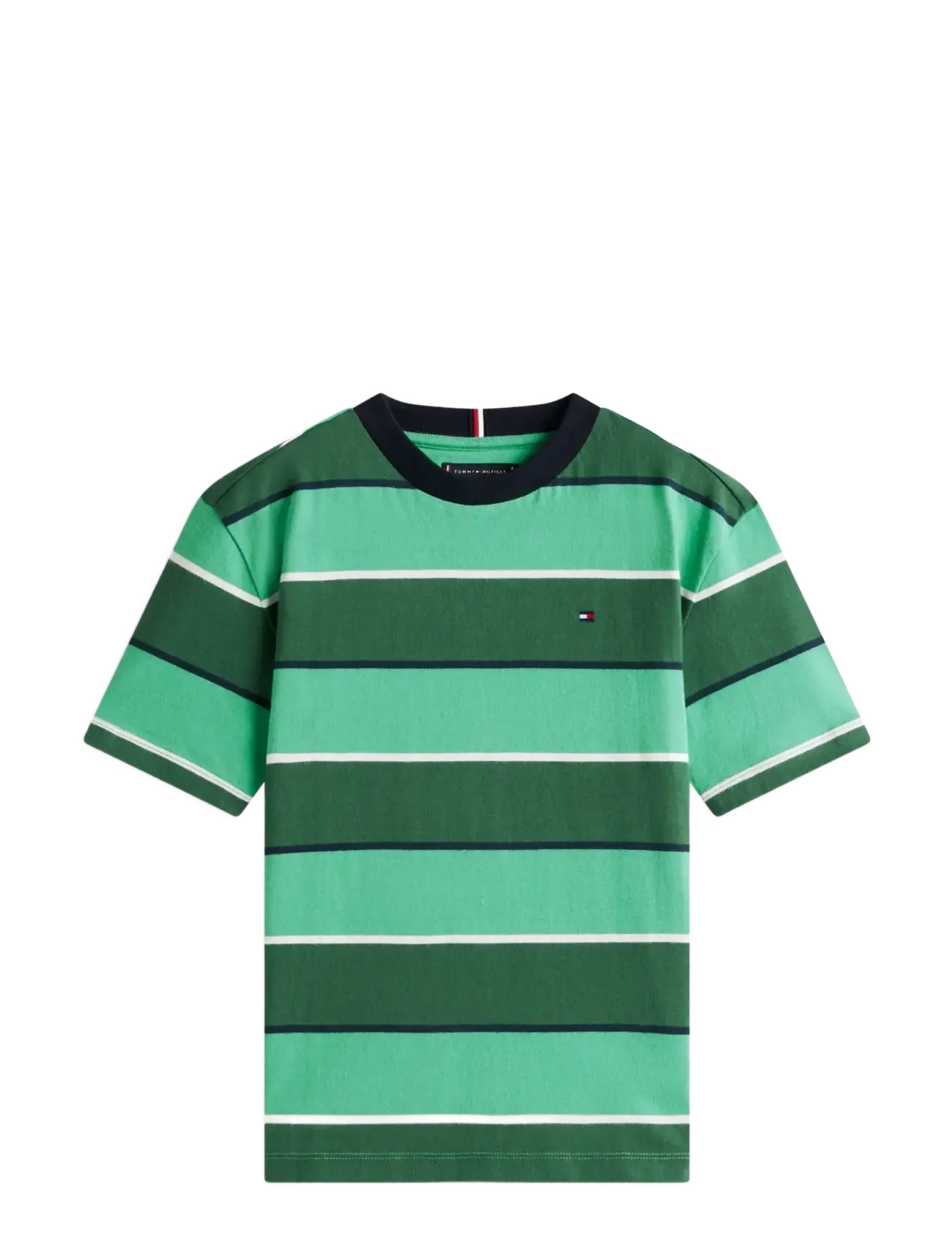 Tommy Hilfiger RUGBY STRIPE T-SHIRT SS - Oberteile - BAHAMA GREEN STRIPE / green