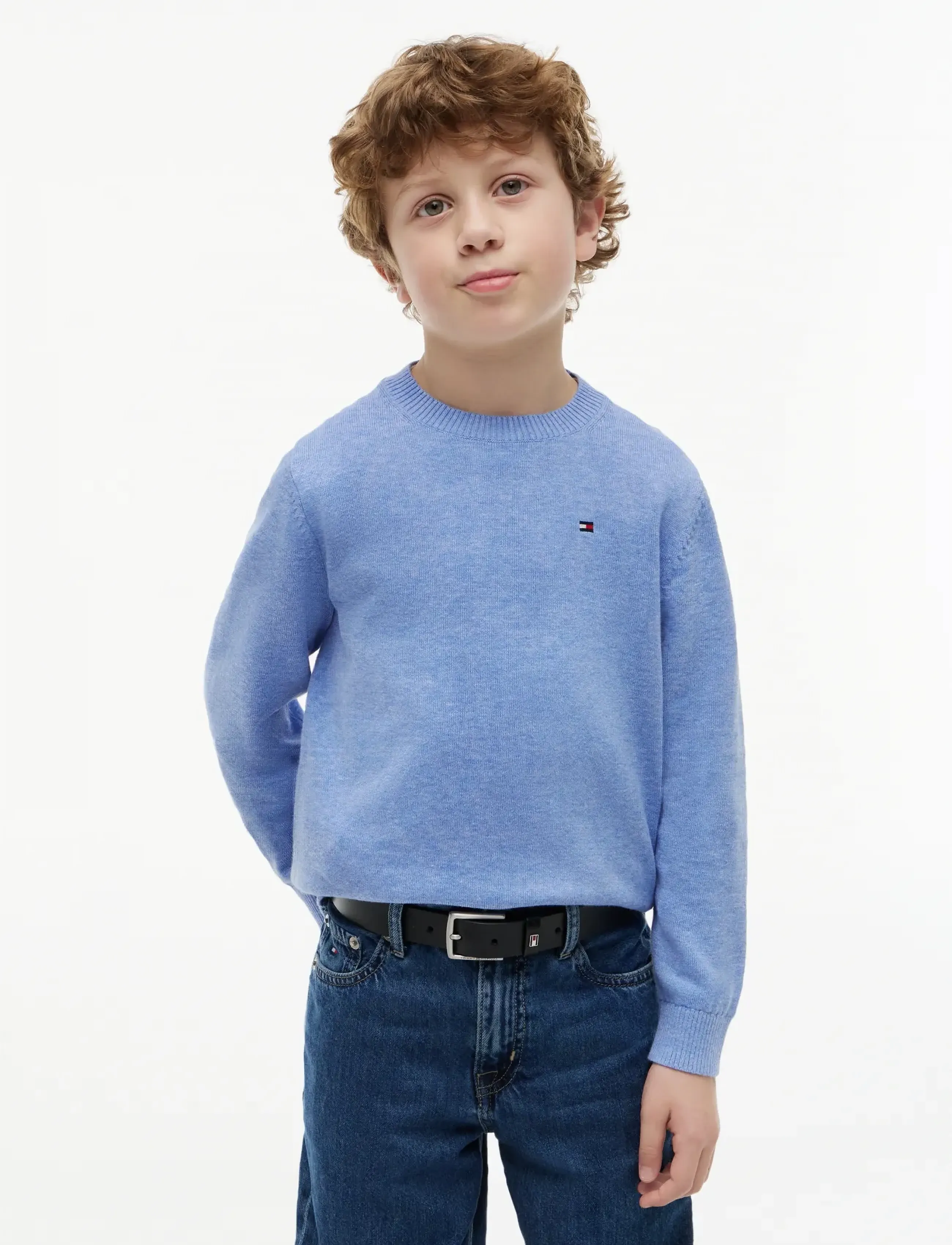 Tommy Hilfiger CREW NECK SWEATER LS - Overdele - NOBLE BLUE B8F012 / blue