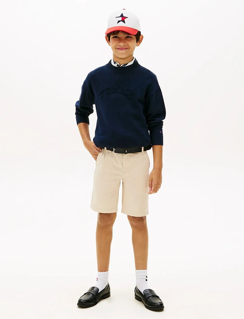 Tommy Hilfiger - MONOTYPE GRAPHIC SWEATER LS - stickade tröjor - dark night navy - 3