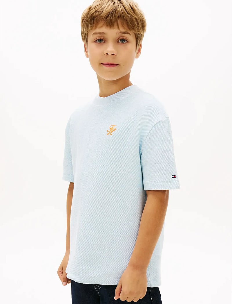 Tommy Hilfiger - TH SCRIPT JERSEY TWILL T-SHIRT - kortærmede t-shirts - keepsake blue - 0