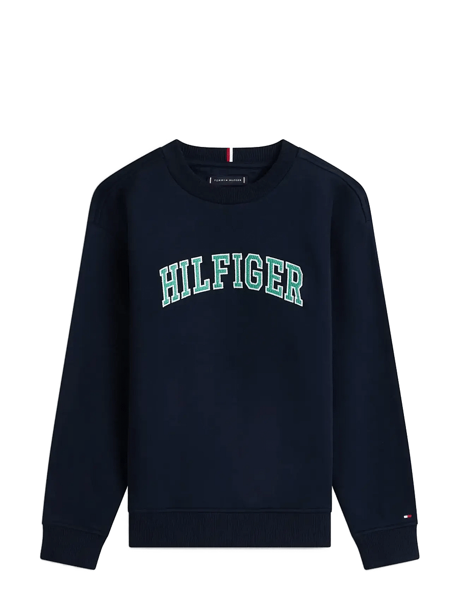 Tommy Hilfiger - HILFIGER VARSITY SWEATSHIRT - sweatshirts - dark night navy - 1
