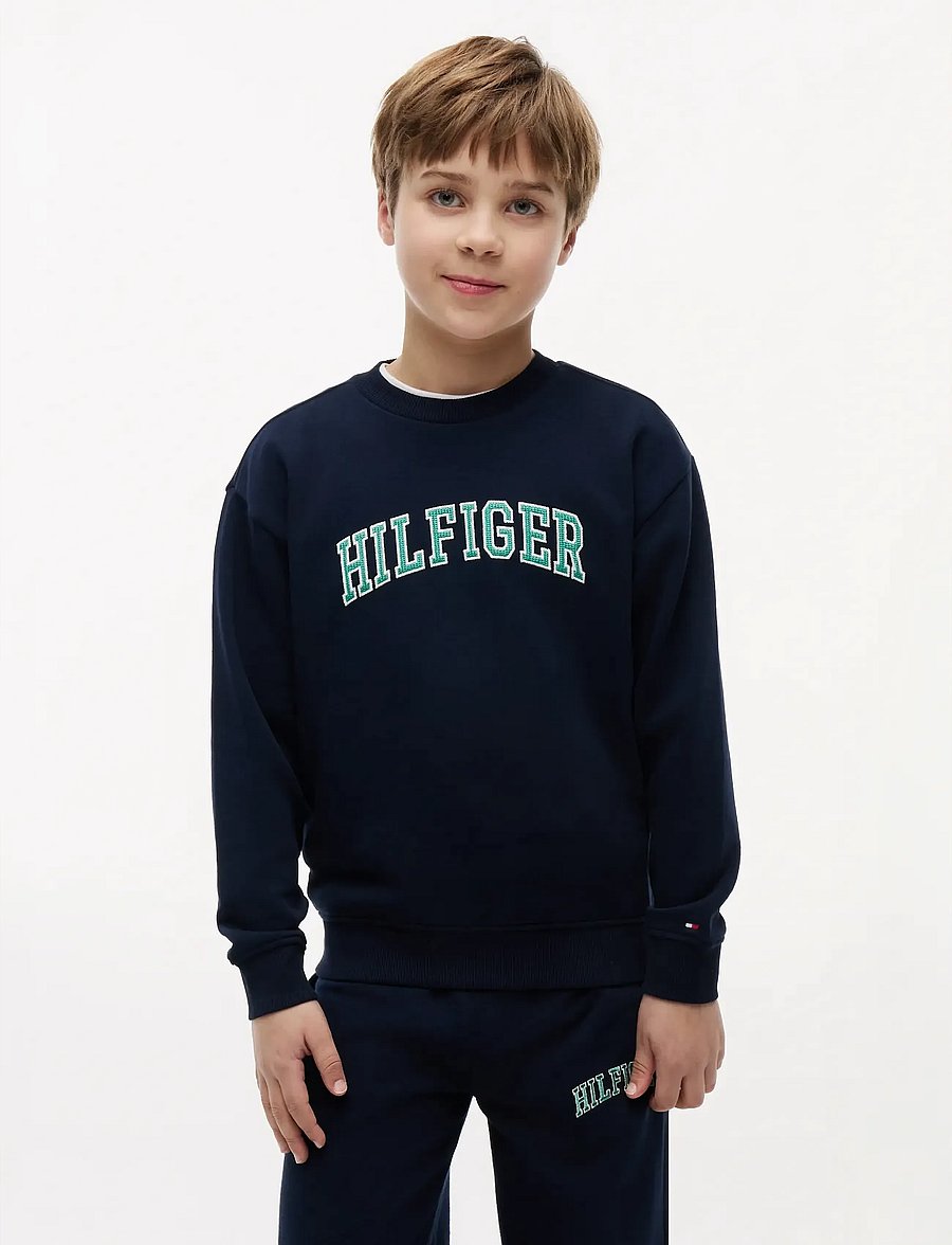 Tommy Hilfiger - HILFIGER VARSITY SWEATSHIRT - sweatshirts - dark night navy - 0