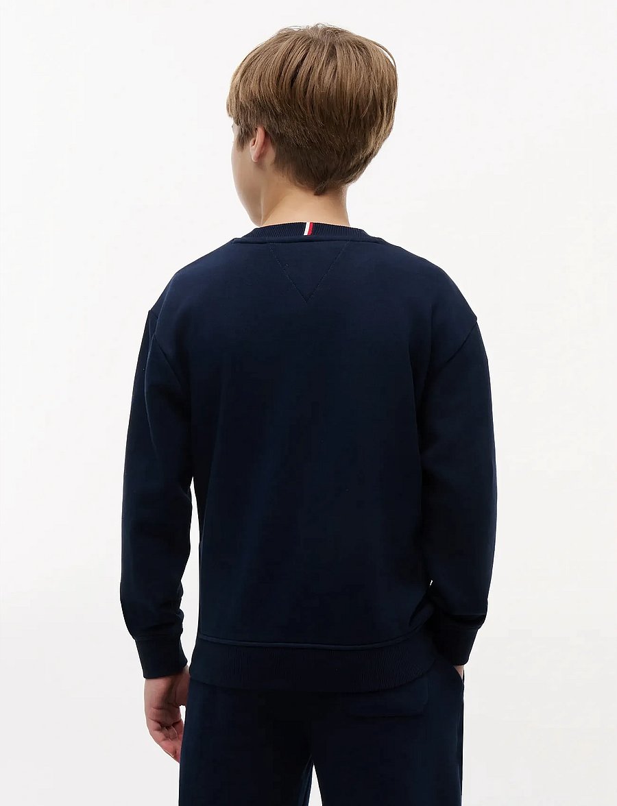 Tommy Hilfiger - HILFIGER VARSITY SWEATSHIRT - sweatshirts - dark night navy - 2