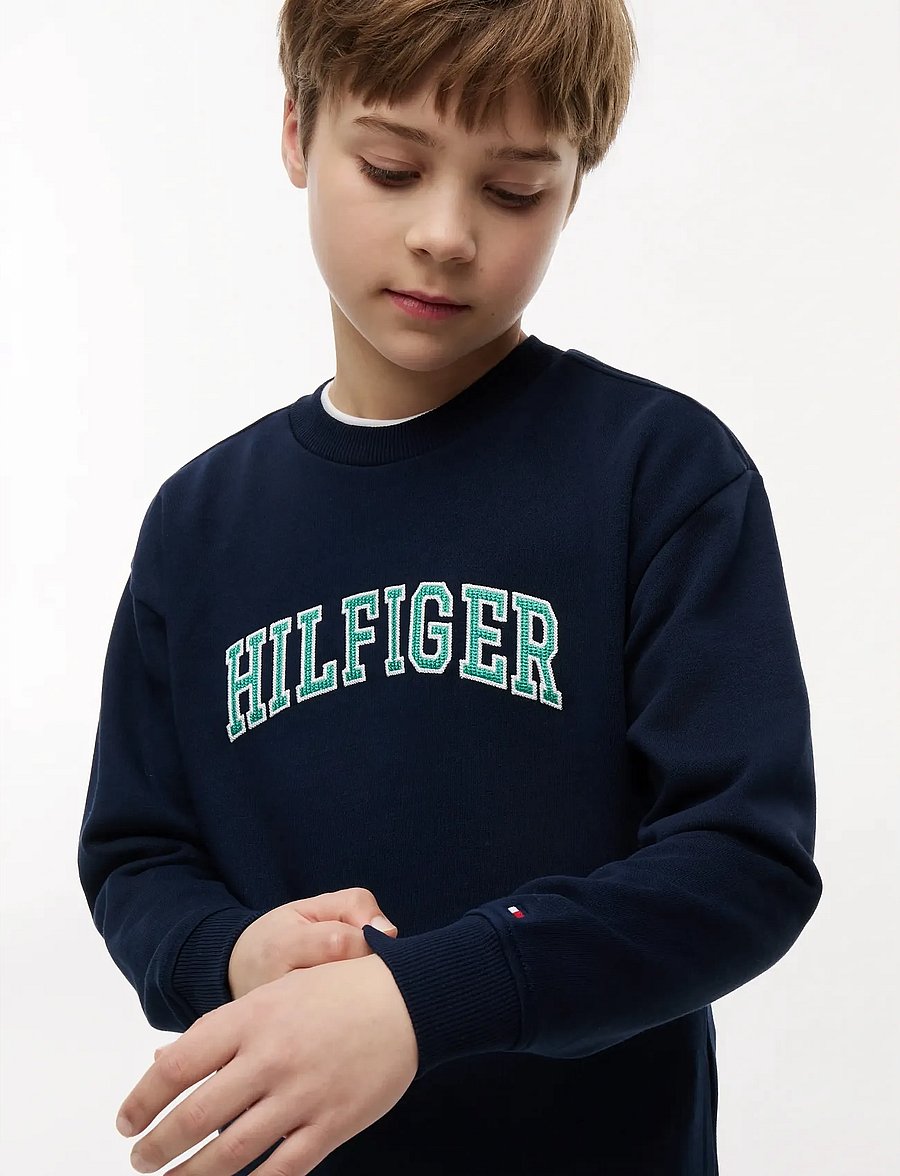 Tommy Hilfiger - HILFIGER VARSITY SWEATSHIRT - sweatshirts - dark night navy - 3