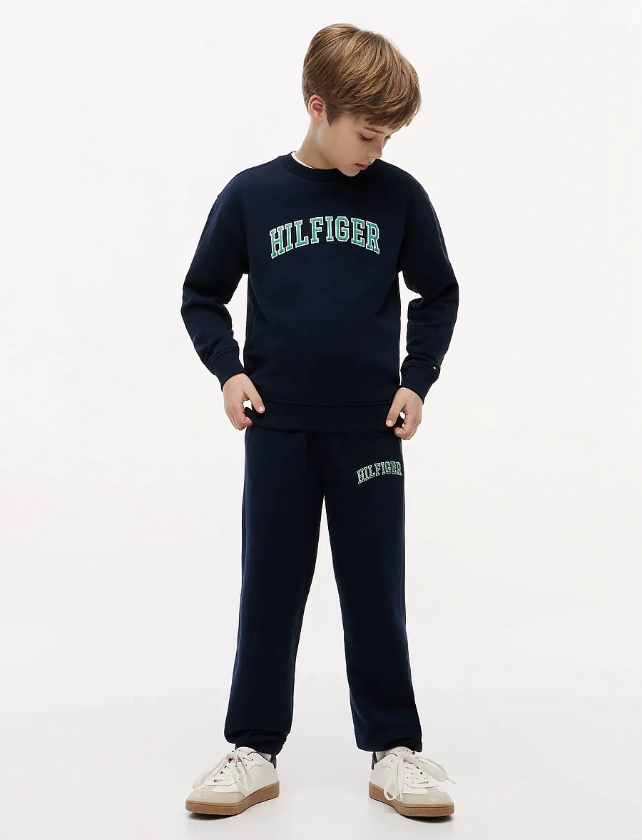 Tommy Hilfiger - HILFIGER VARSITY SWEATSHIRT - sweatshirts - dark night navy - 4