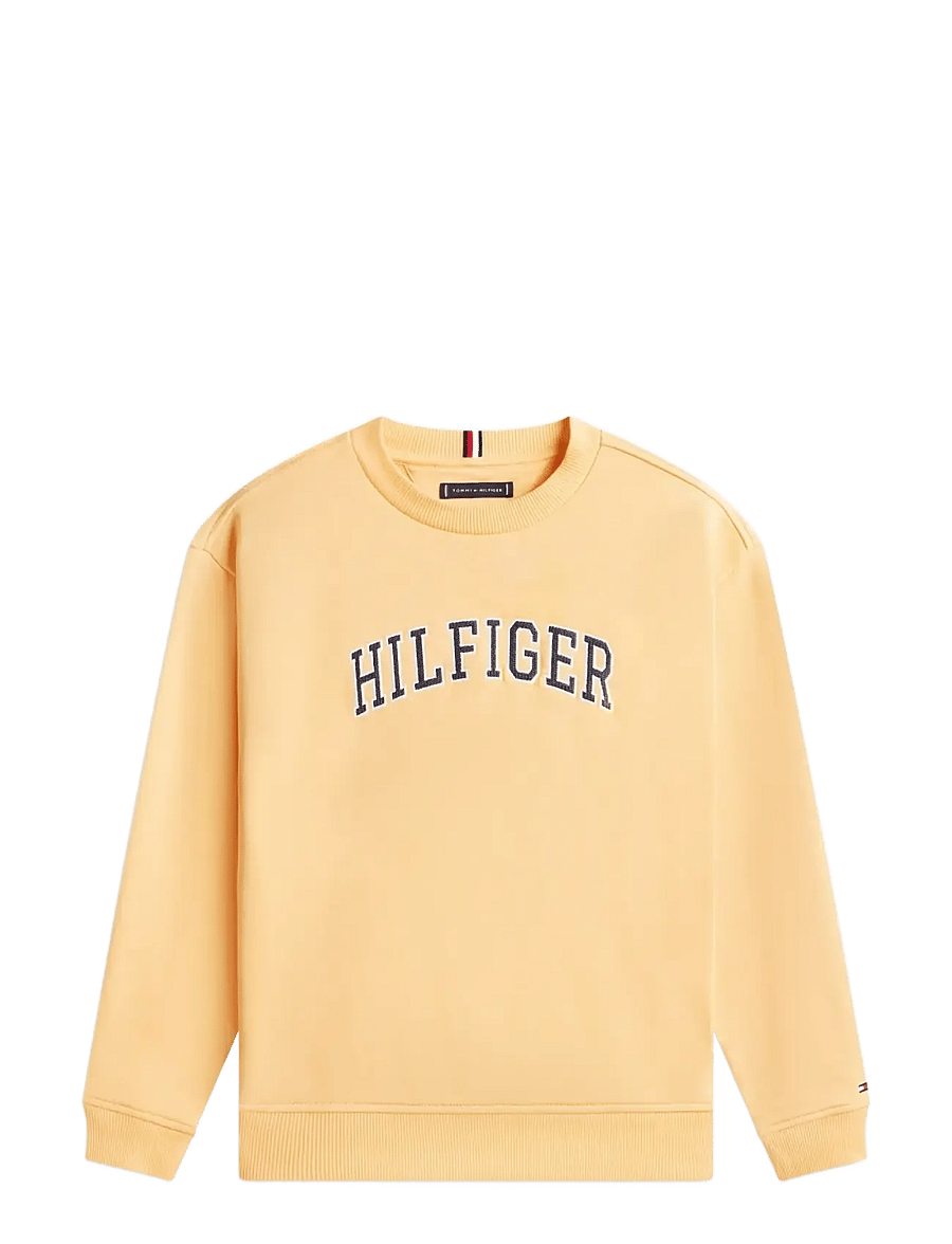 Tommy Hilfiger - HILFIGER VARSITY SWEATSHIRT - sweatshirts - faded sun kiss - 1