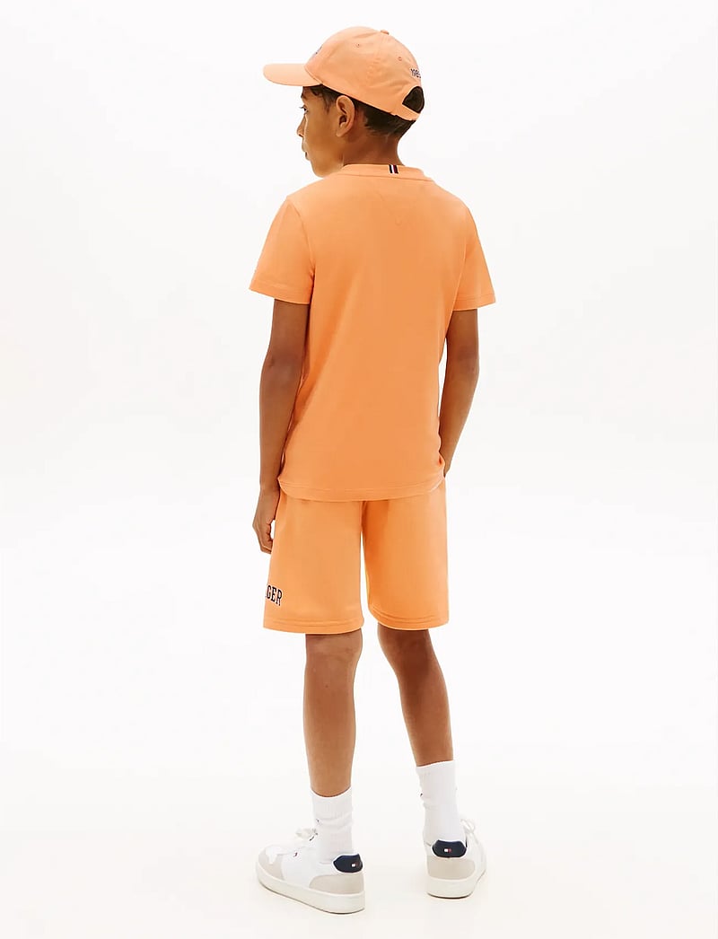 Tommy Hilfiger - HILFIGER VARSITY T-SHIRT - lühikeste varrukatega t-särgid - faded sun kiss - 2