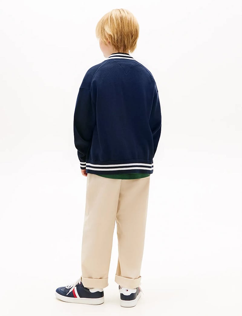 Tommy Hilfiger - VARSITY RIB V-NECK CARDIGAN - cardigans - dark night navy - 2