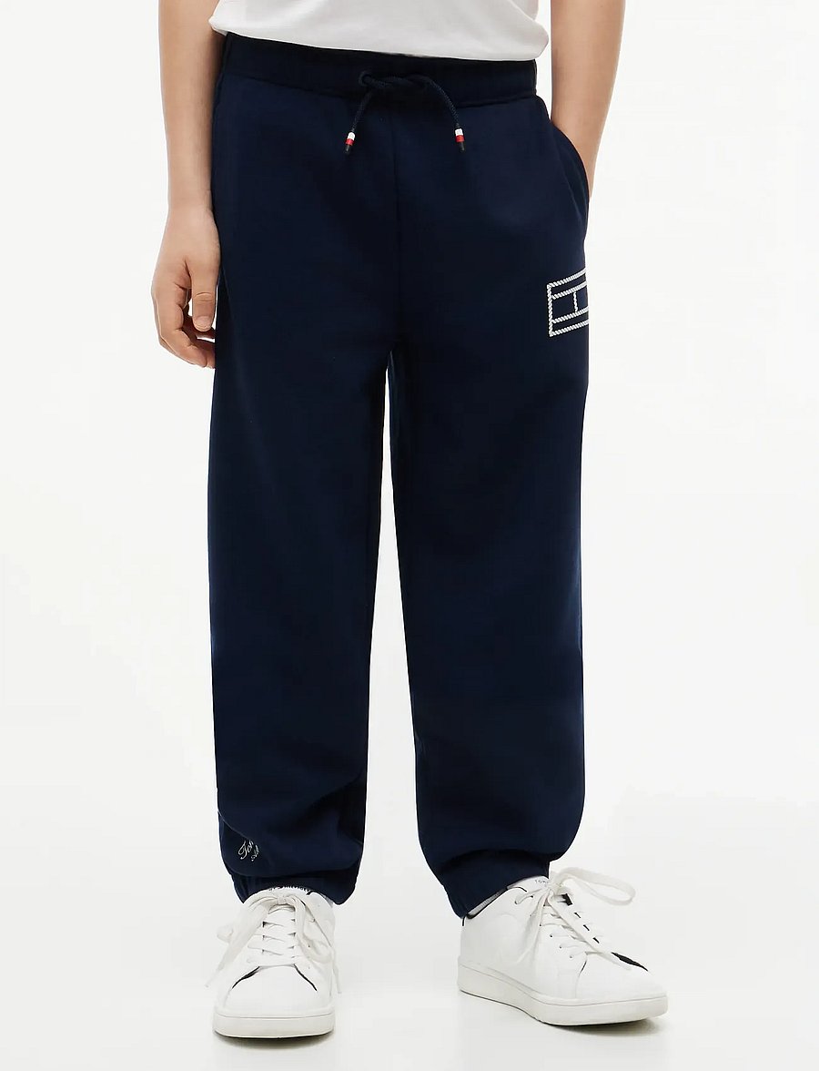 Tommy Hilfiger - OUTLINE FLAG SWEATPANT - jogginghosen - dark night navy - 0