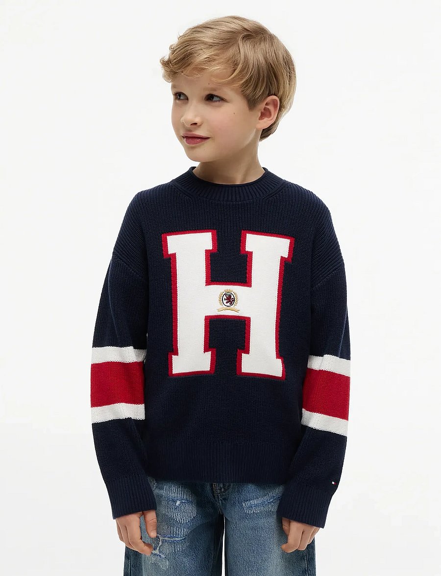 Tommy Hilfiger - GRAPHIC SWEATER LS - jumpers - dark night navy - 0