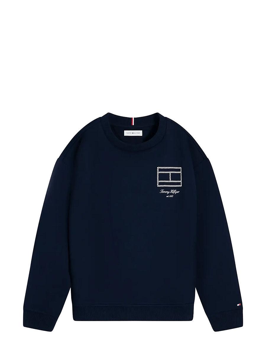 Tommy Hilfiger - OUTLINE FLAG GRAPHIC SWEATSHIRT - sweatshirts - dark night navy - 1