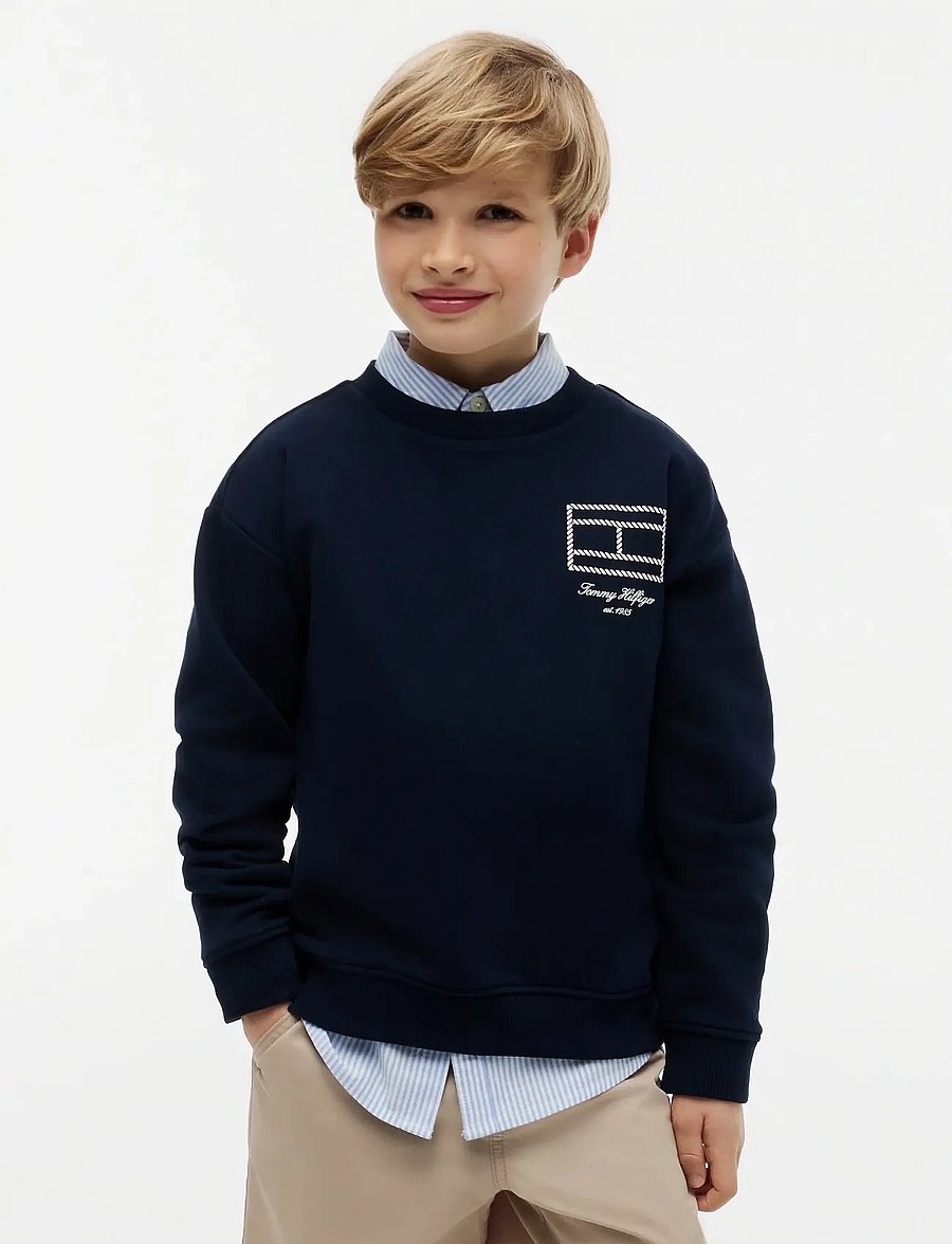 Tommy Hilfiger - OUTLINE FLAG GRAPHIC SWEATSHIRT - sweatshirts - dark night navy - 0