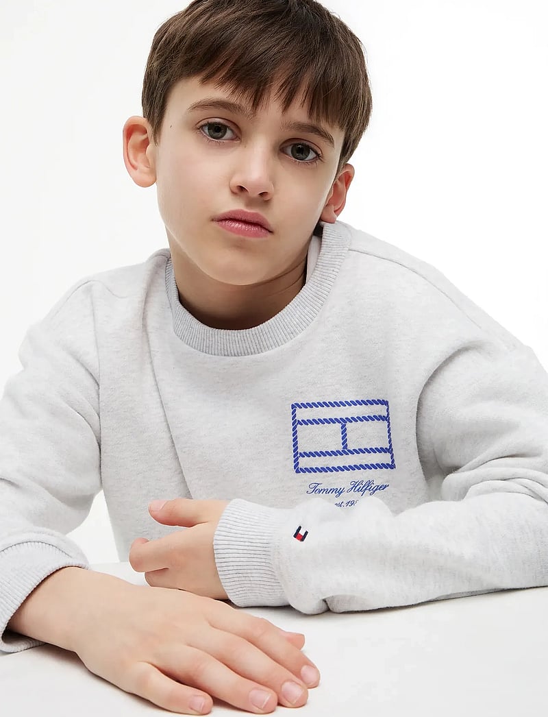 Tommy Hilfiger - OUTLINE FLAG GRAPHIC SWEATSHIRT - sweatshirts - light grey heather - 5