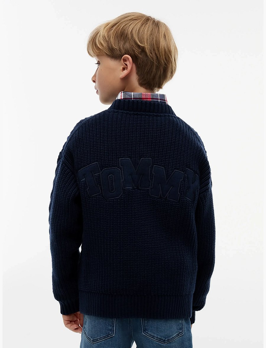 Tommy Hilfiger - HEAVY COTTON CABLE SWEATER - jumpers - dark blue - 2