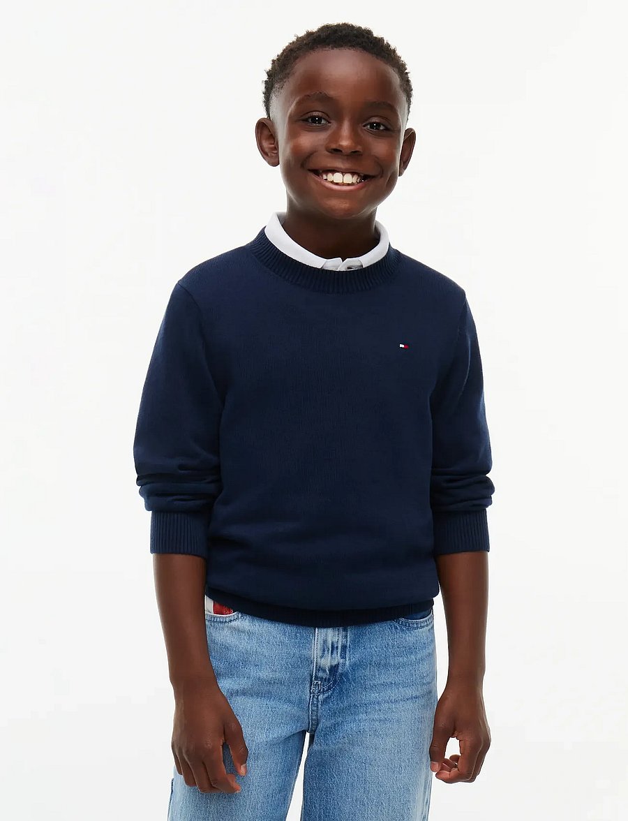 Tommy Hilfiger - ESSENTIAL LIGHT SWEATER - trøjer - dark blue - 0