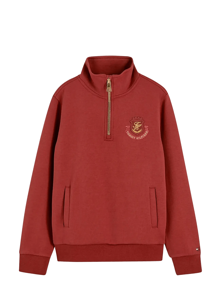 Tommy Hilfiger - DIWALI GRAPHIC 1/4 ZIP - sweatshirts - deep sienna - 1