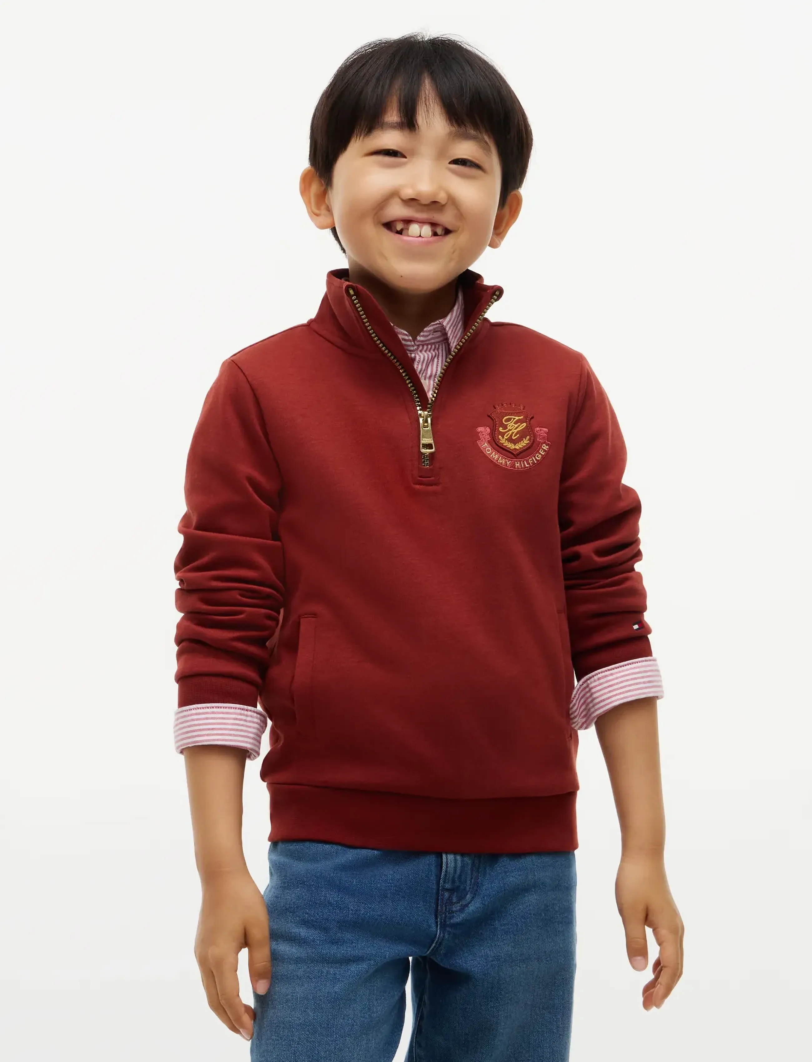 Tommy Hilfiger DIWALI GRAPHIC 1/4 ZIP - Sweatshirts & Kapuzenpullover - DEEP SIENNA / burgundy