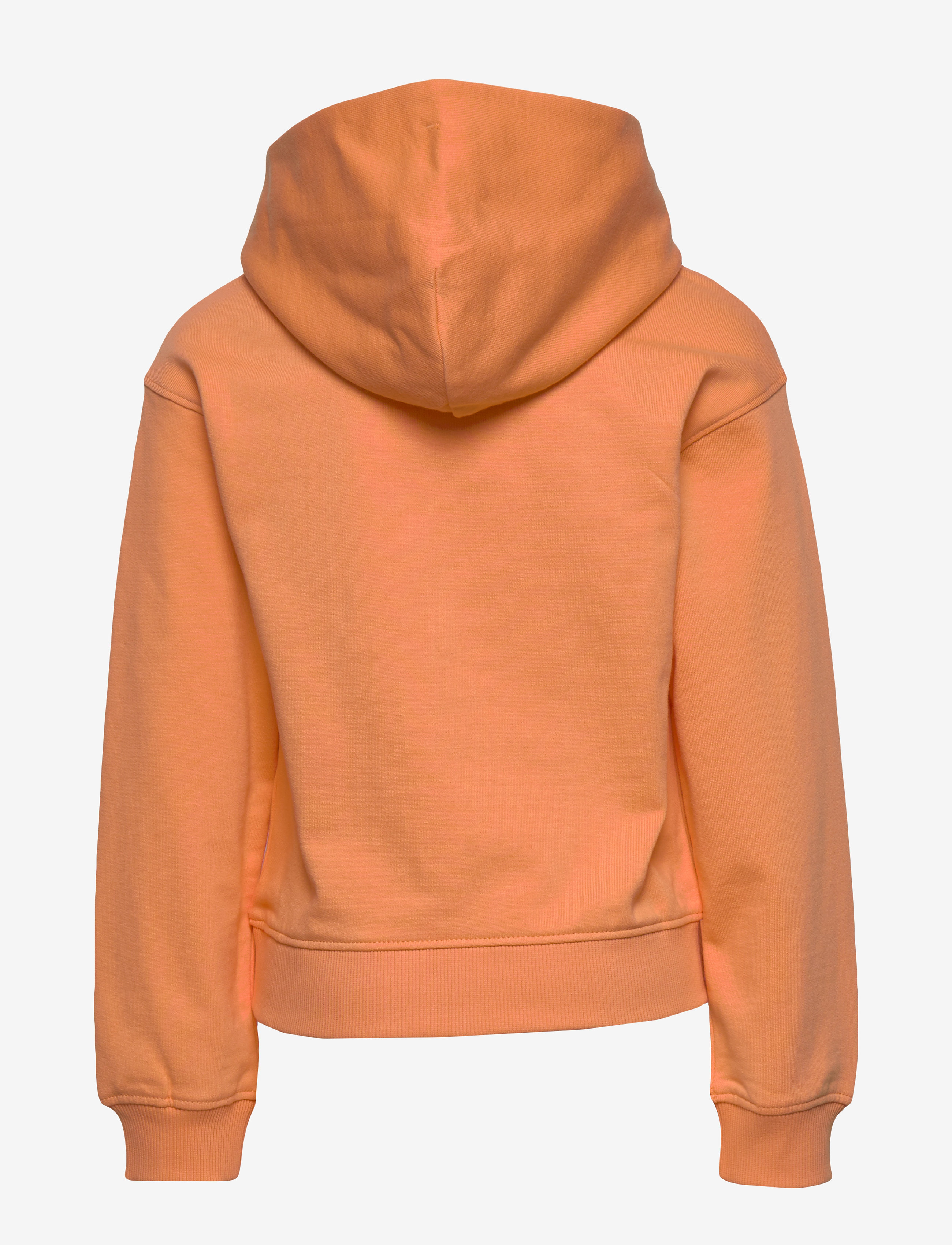Tommy Hilfiger - TOMMY FOIL LABEL HOODIE - melon orange - 1
