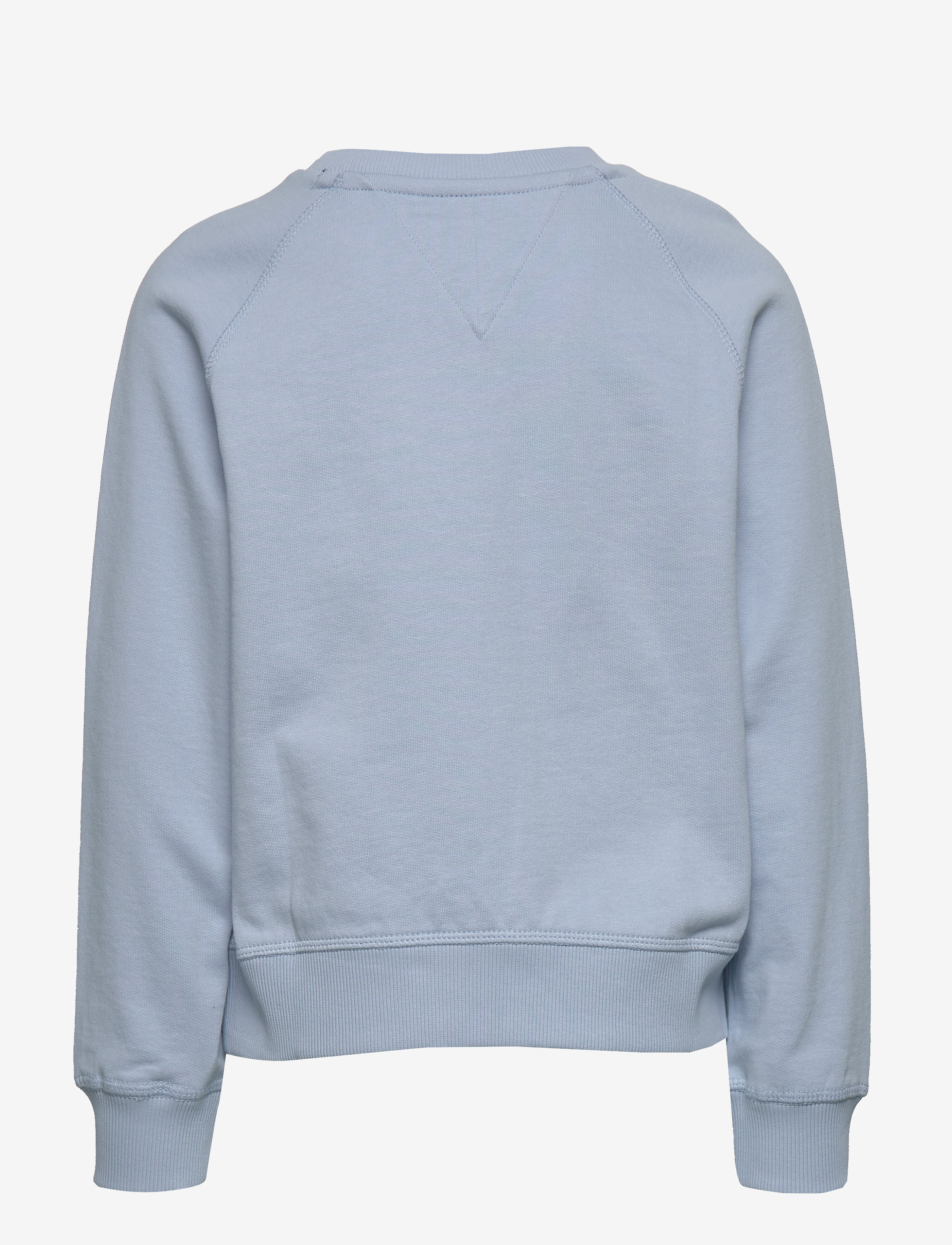 Tommy Hilfiger - TONAL EMBROIDERED GRAPHIC CREW - calm blue - 1