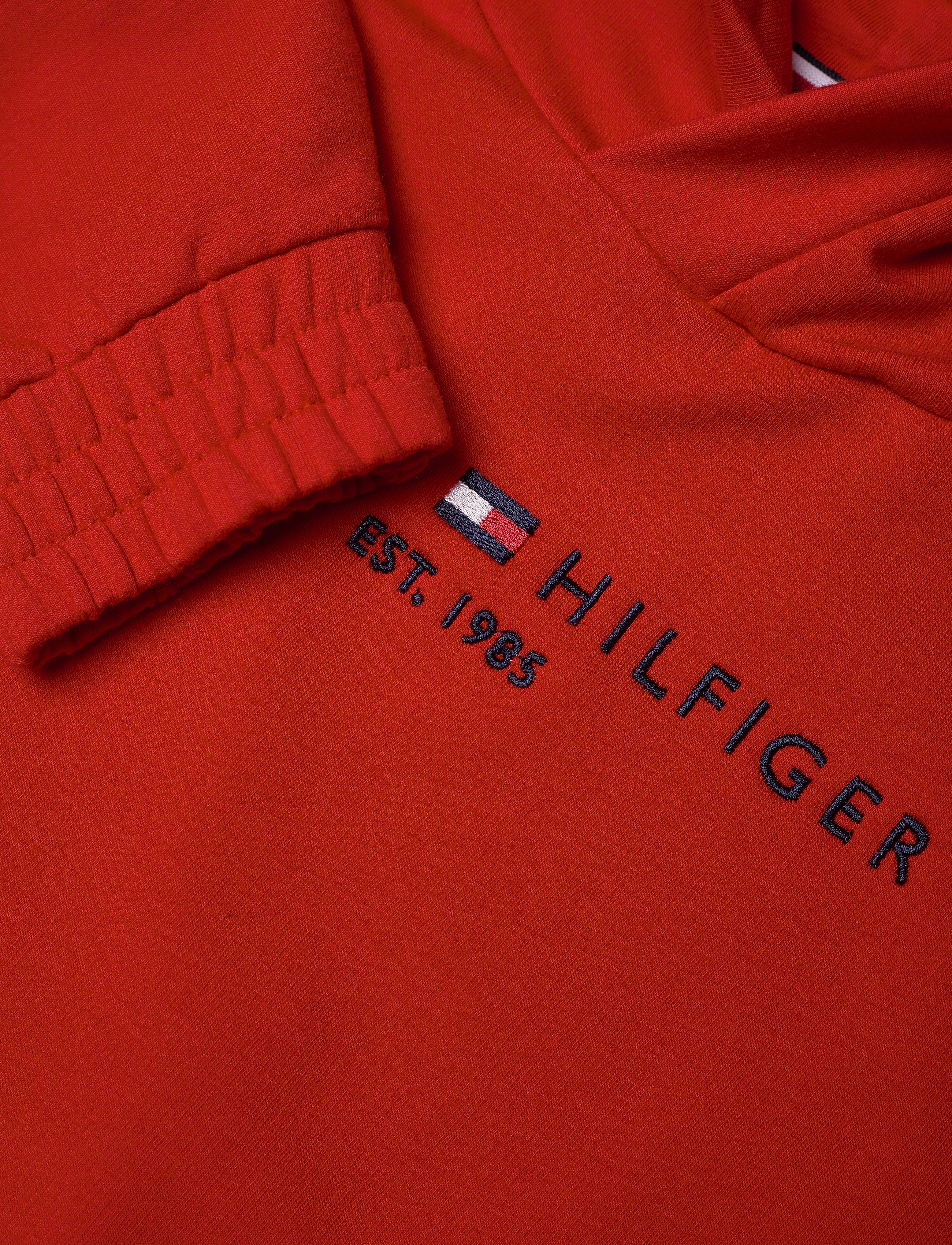 Tommy Hilfiger - ESSENTIAL HOODED SWEATSHIRT - deep crimson - 2
