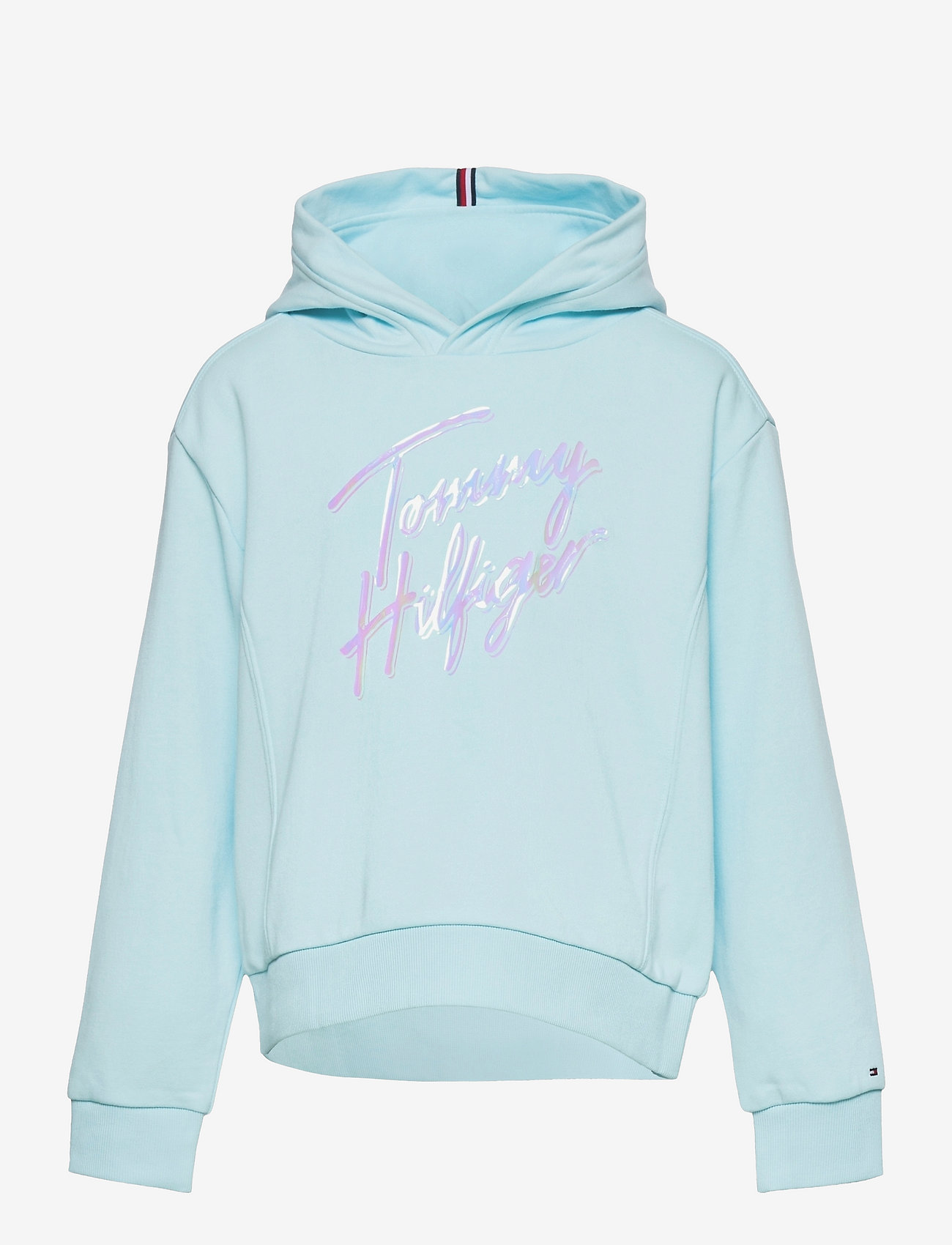 Tommy Hilfiger - SCRIPT PRINT HOODIE - frost blue - 0