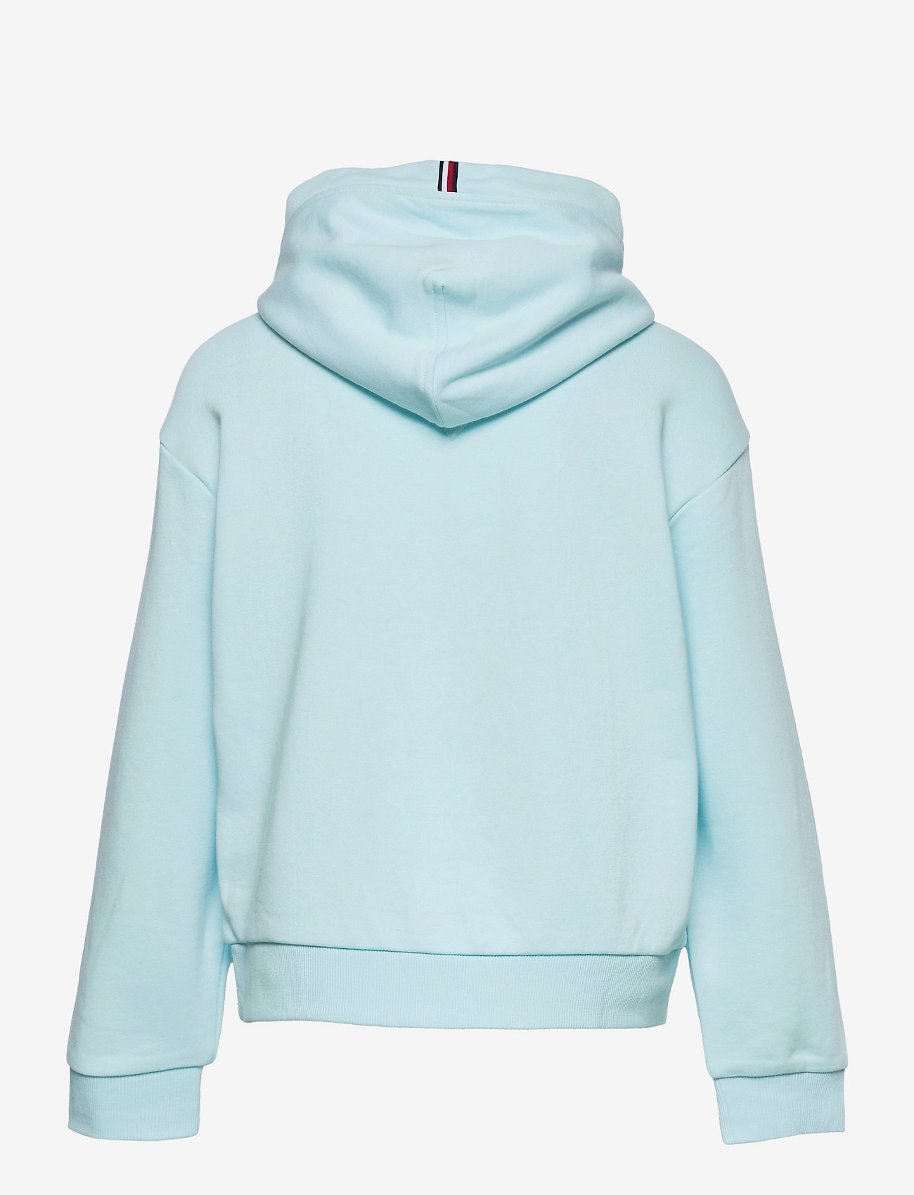 Tommy Hilfiger - SCRIPT PRINT HOODIE - frost blue - 1