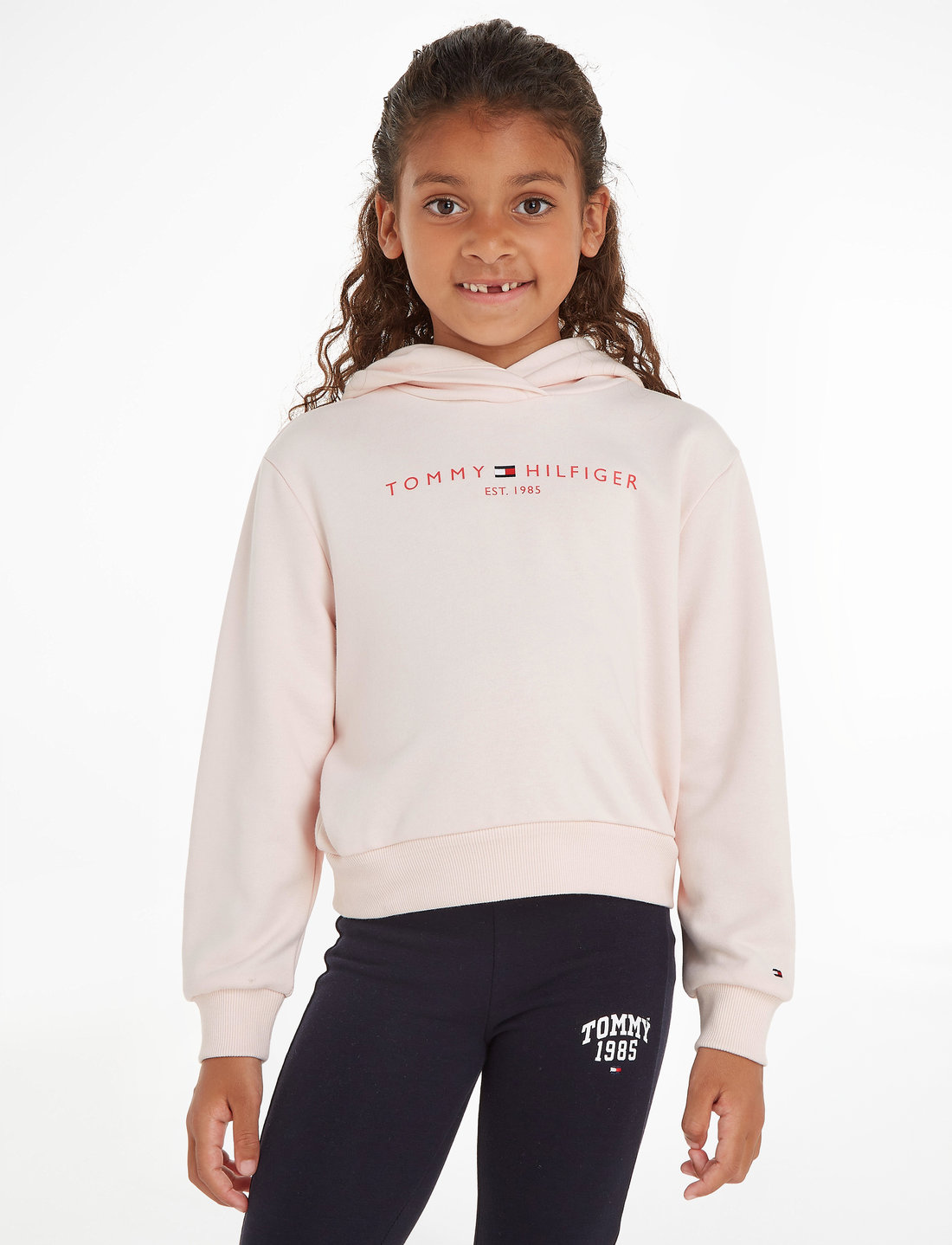 Tommy hilfiger basic hoodie Clearance