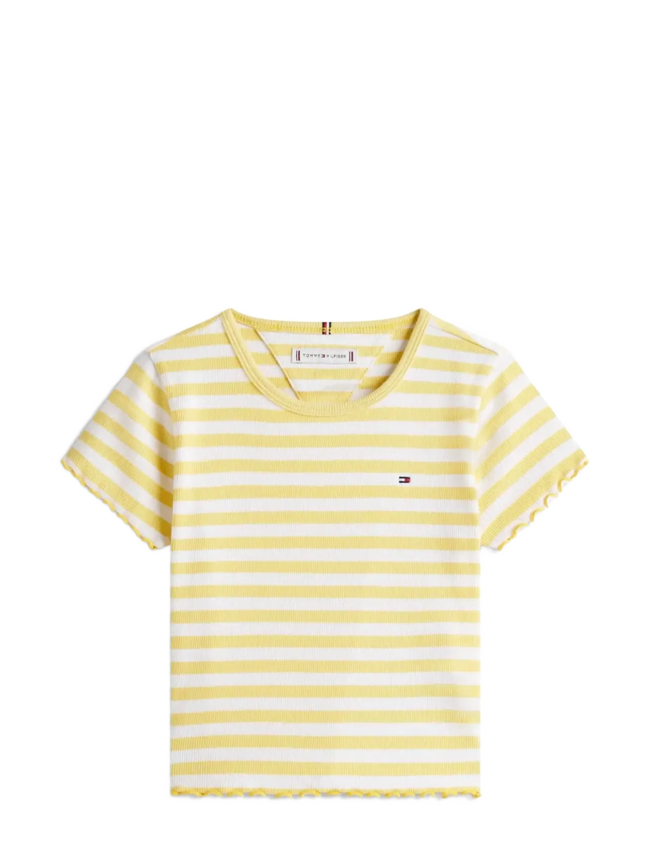 YELLOW DAHLIA STRIPES