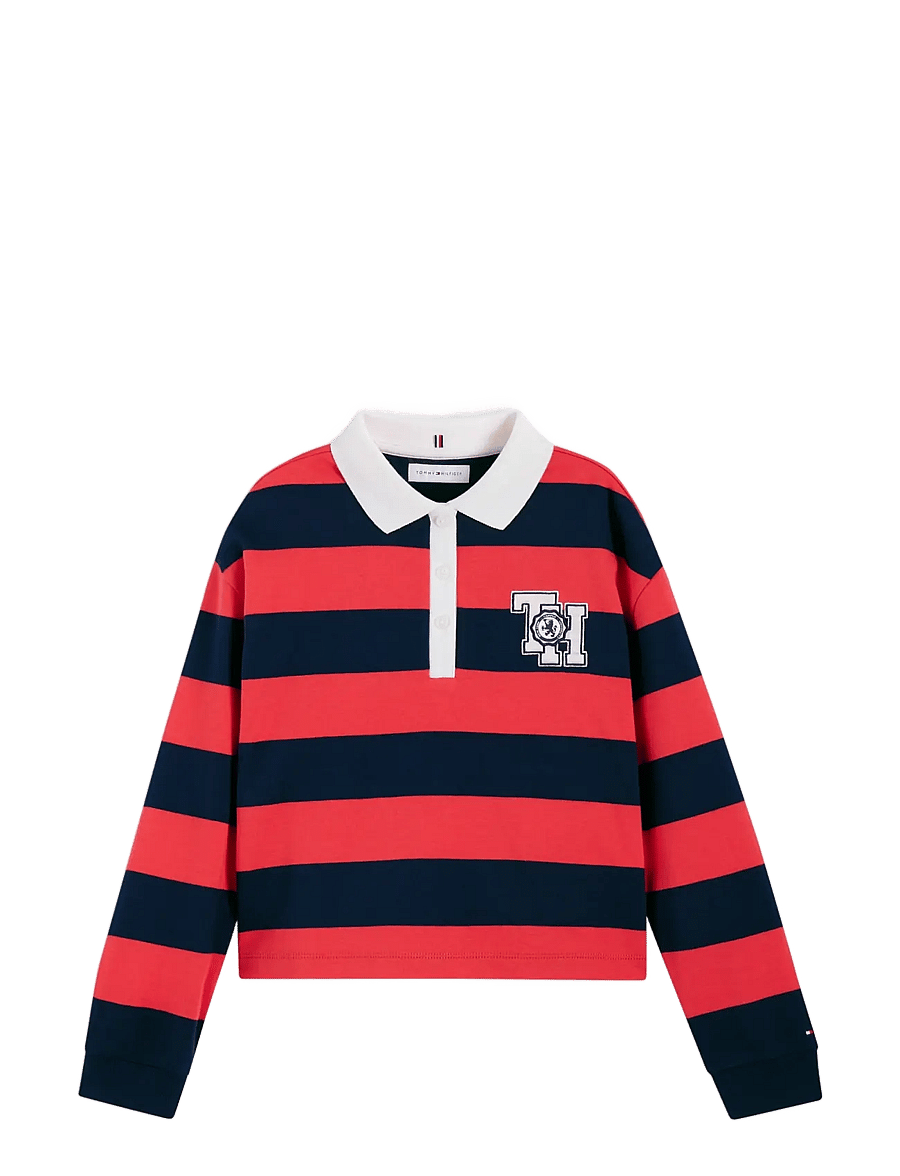 Tommy Hilfiger - STRIPE POLO LS - poloshirts - dark blue stripes - 1