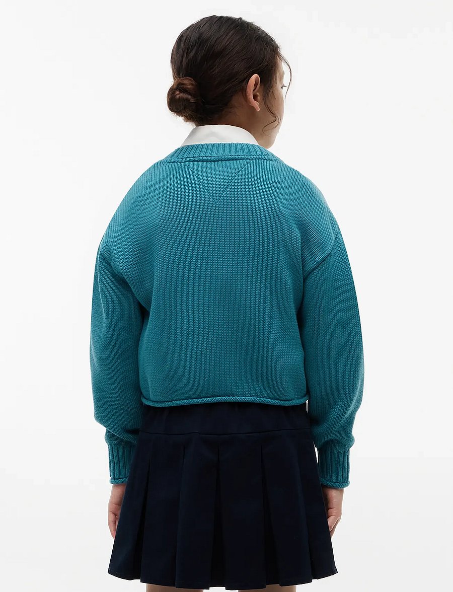 Tommy Hilfiger - HERITAGE SWEATER - trøjer - platinum teal - 1