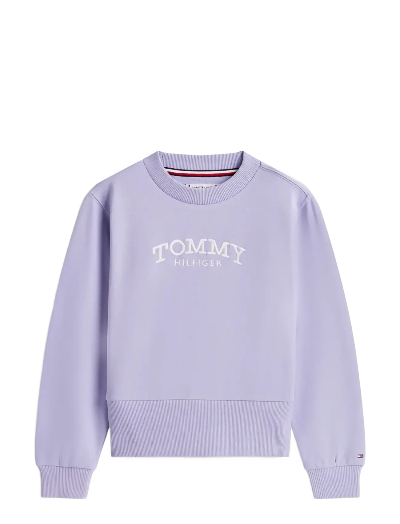 Tommy Hilfiger HIGH RIB HEM CREW NECK - Riided - PERIWINKLE DUSK / purple