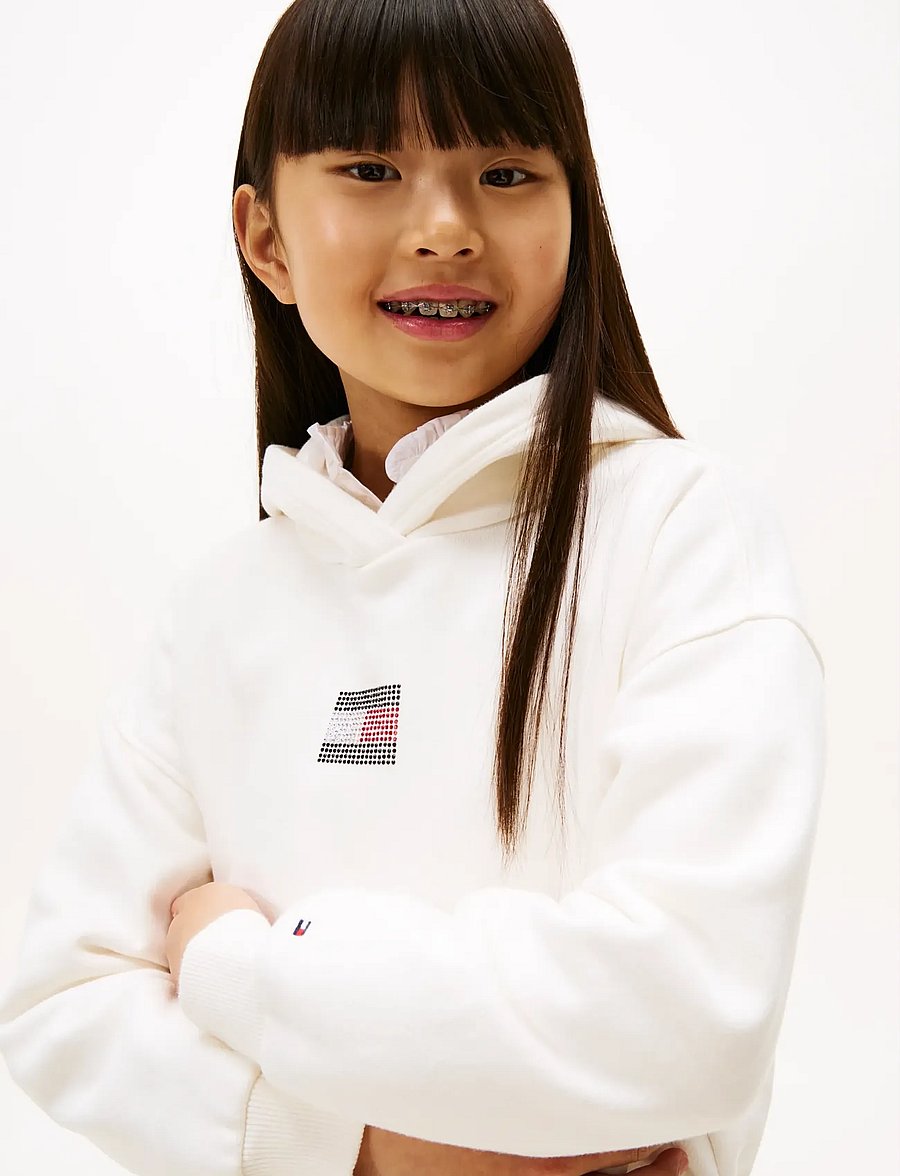 Tommy Hilfiger - RHINE STONE FLAG HOODIE - kapuzenpullover - ivory silk - 4