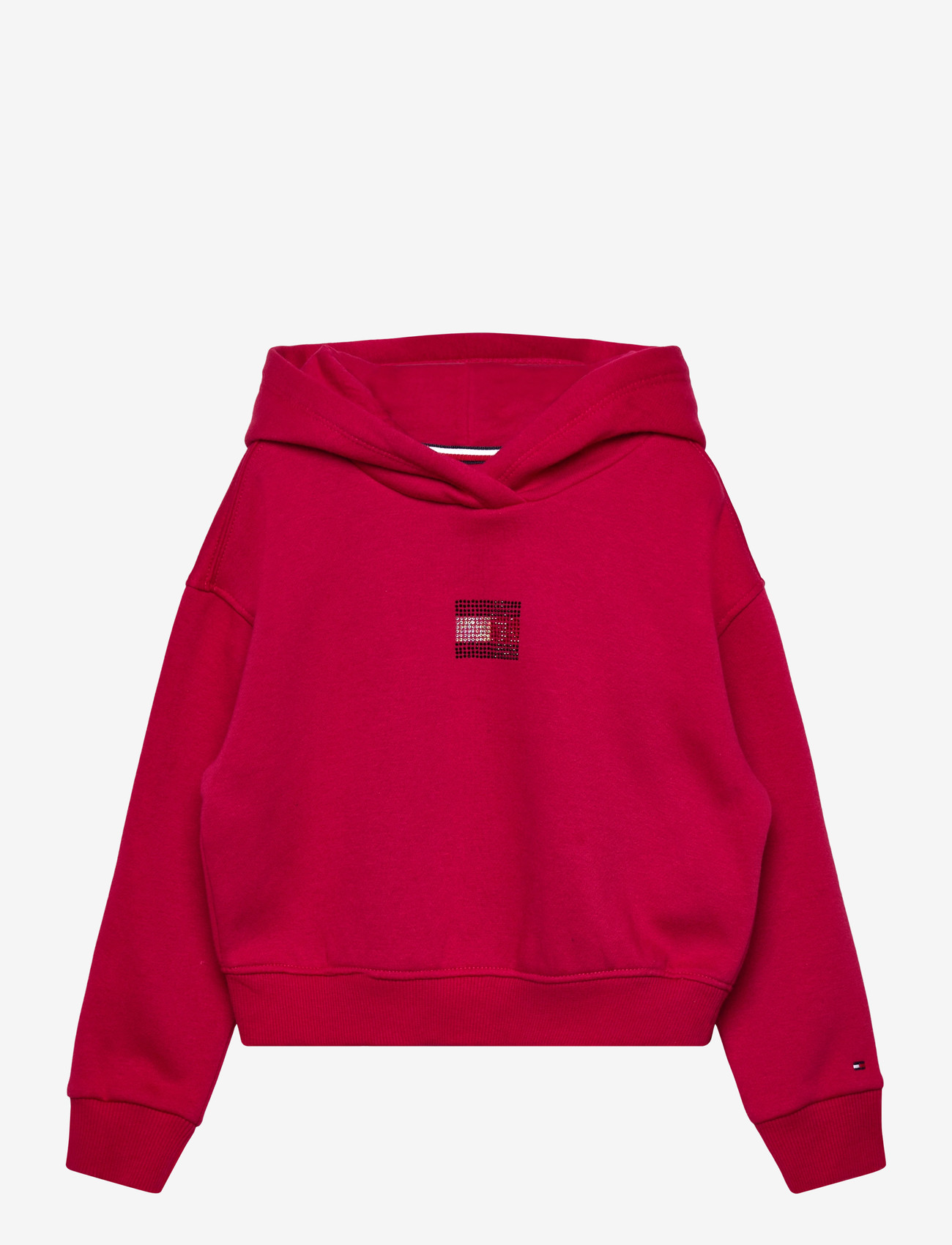 Tommy Hilfiger - RHINE STONE FLAG HOODIE - kapuutsiga dressipluusid - ruby rhubarb - 1