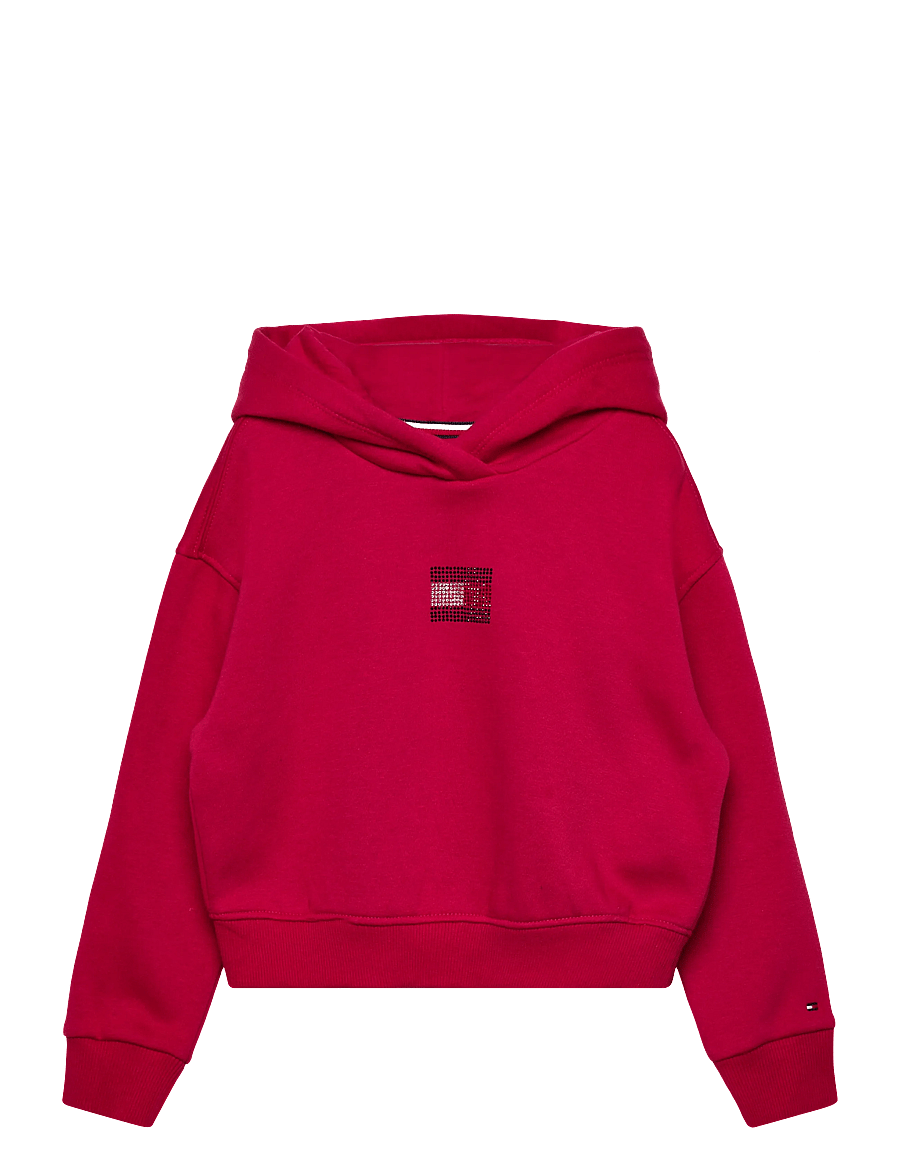 Tommy Hilfiger - RHINE STONE FLAG HOODIE - kapuzenpullover - ruby rhubarb - 1