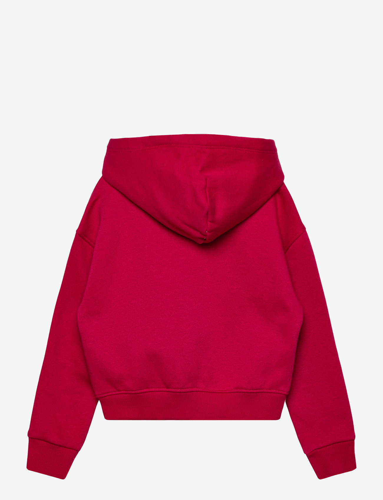 Tommy Hilfiger - RHINE STONE FLAG HOODIE - kapuutsiga dressipluusid - ruby rhubarb - 2