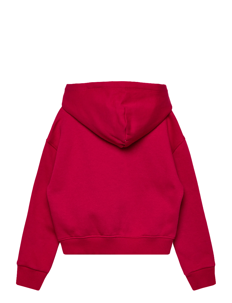 Tommy Hilfiger - RHINE STONE FLAG HOODIE - kapuzenpullover - ruby rhubarb - 2