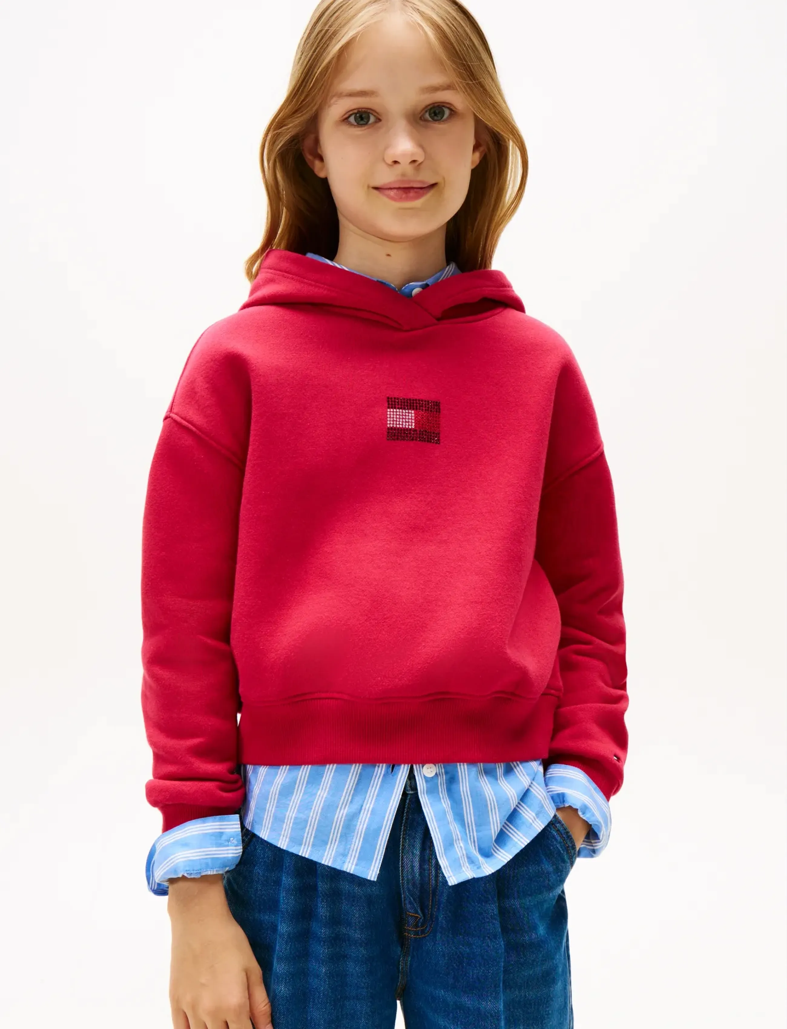 Tommy Hilfiger RHINE STONE FLAG HOODIE - Sweatshirts & Hættetrøjer - RUBY RHUBARB / red
