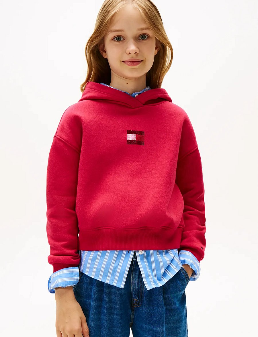 Tommy Hilfiger - RHINE STONE FLAG HOODIE - kapuzenpullover - ruby rhubarb - 0