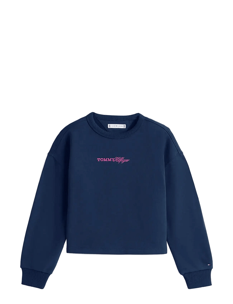 Tommy Hilfiger - GLITTER TOMMY CREW - dressipluusid - dark night navy - 1