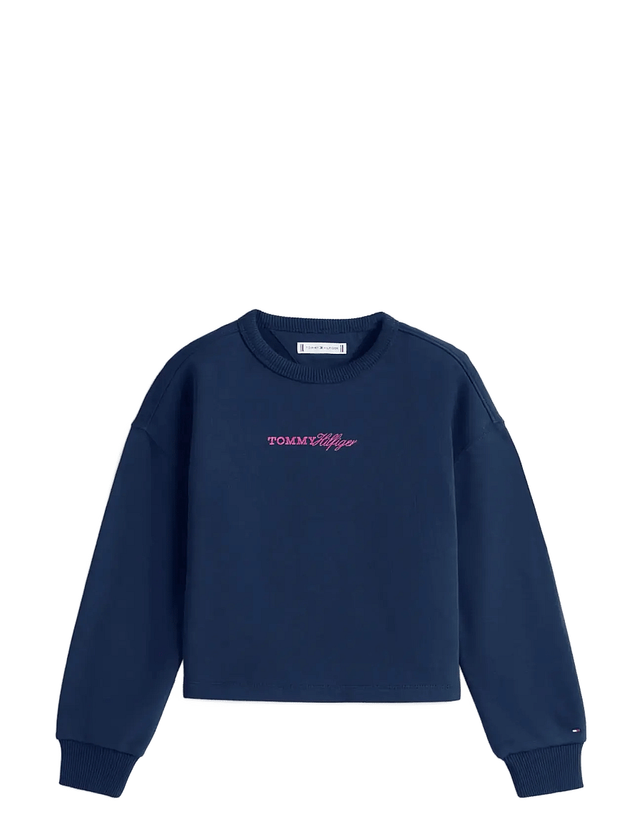 Tommy Hilfiger - GLITTER TOMMY CREW - sweatshirts - dark night navy - 1