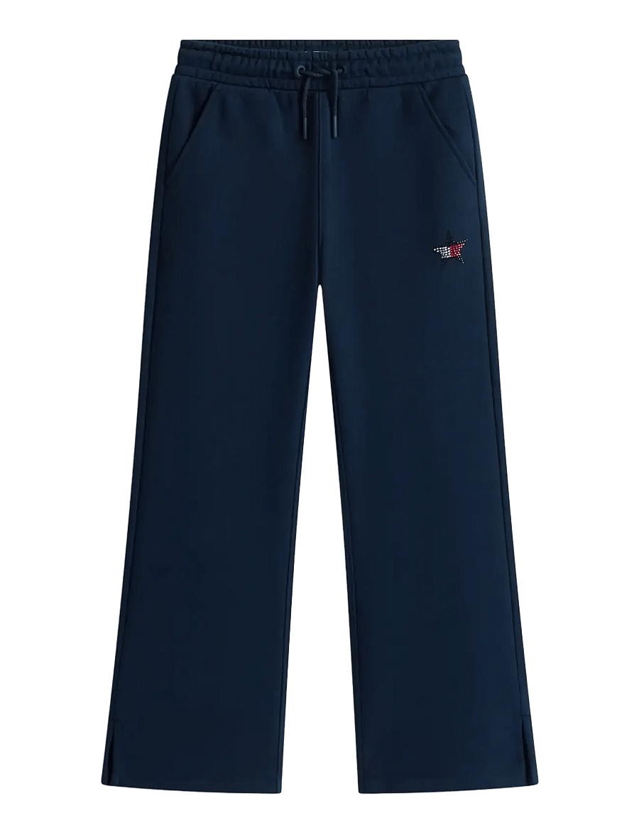 Tommy Hilfiger - STAR SWEATPANT - jogginghosen - dark night navy - 1