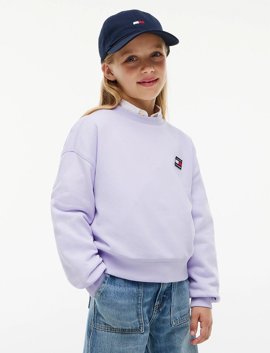 Tommy Hilfiger - HERITAGE FLAG SWEATSHIRT - sweatshirts - lavender ice - 0