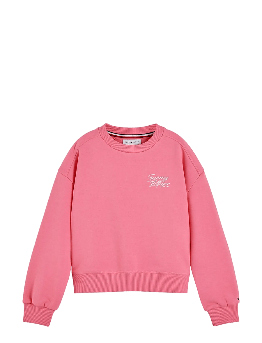 Tommy Hilfiger - TOMMY SCRIPT PRINTED SWEATSHIRT - sweatshirts - exotic pink - 1