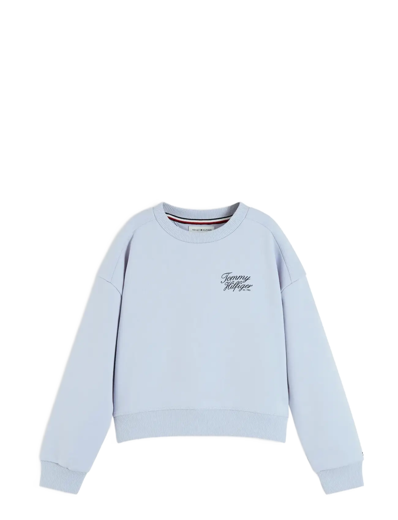 Tommy Hilfiger - TOMMY SCRIPT PRINTED SWEATSHIRT - sweatshirts - sky blue - 1
