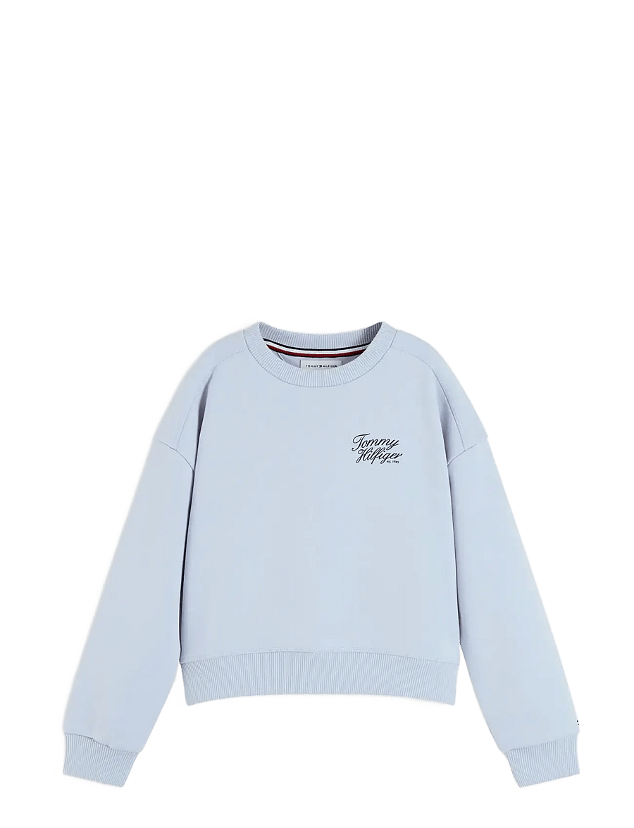 Tommy Hilfiger - TOMMY SCRIPT PRINTED SWEATSHIRT - sweatshirts - sky blue - 1