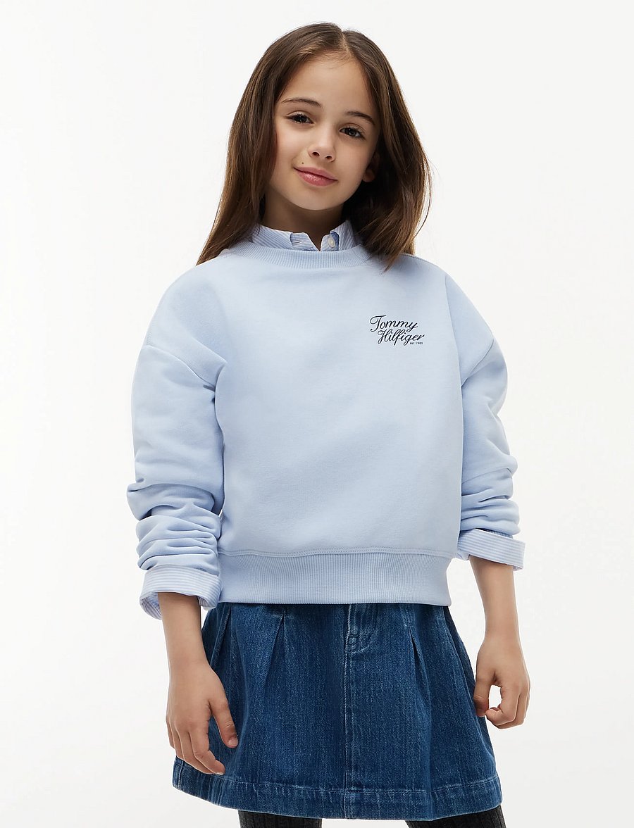 Tommy Hilfiger - TOMMY SCRIPT PRINTED SWEATSHIRT - sweatshirts - sky blue - 0