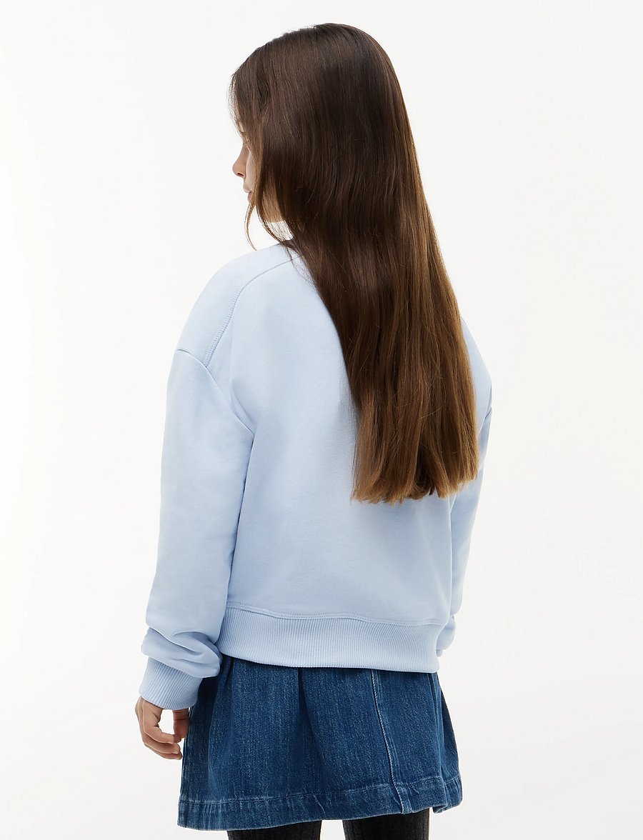 Tommy Hilfiger - TOMMY SCRIPT PRINTED SWEATSHIRT - sweatshirts - sky blue - 2