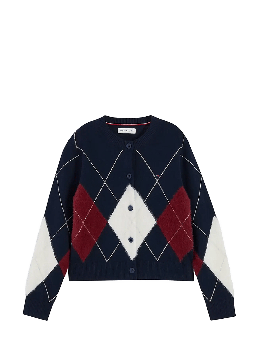 Tommy Hilfiger - ARGYLE CARDIGAN - cardigans - dark blue - 1